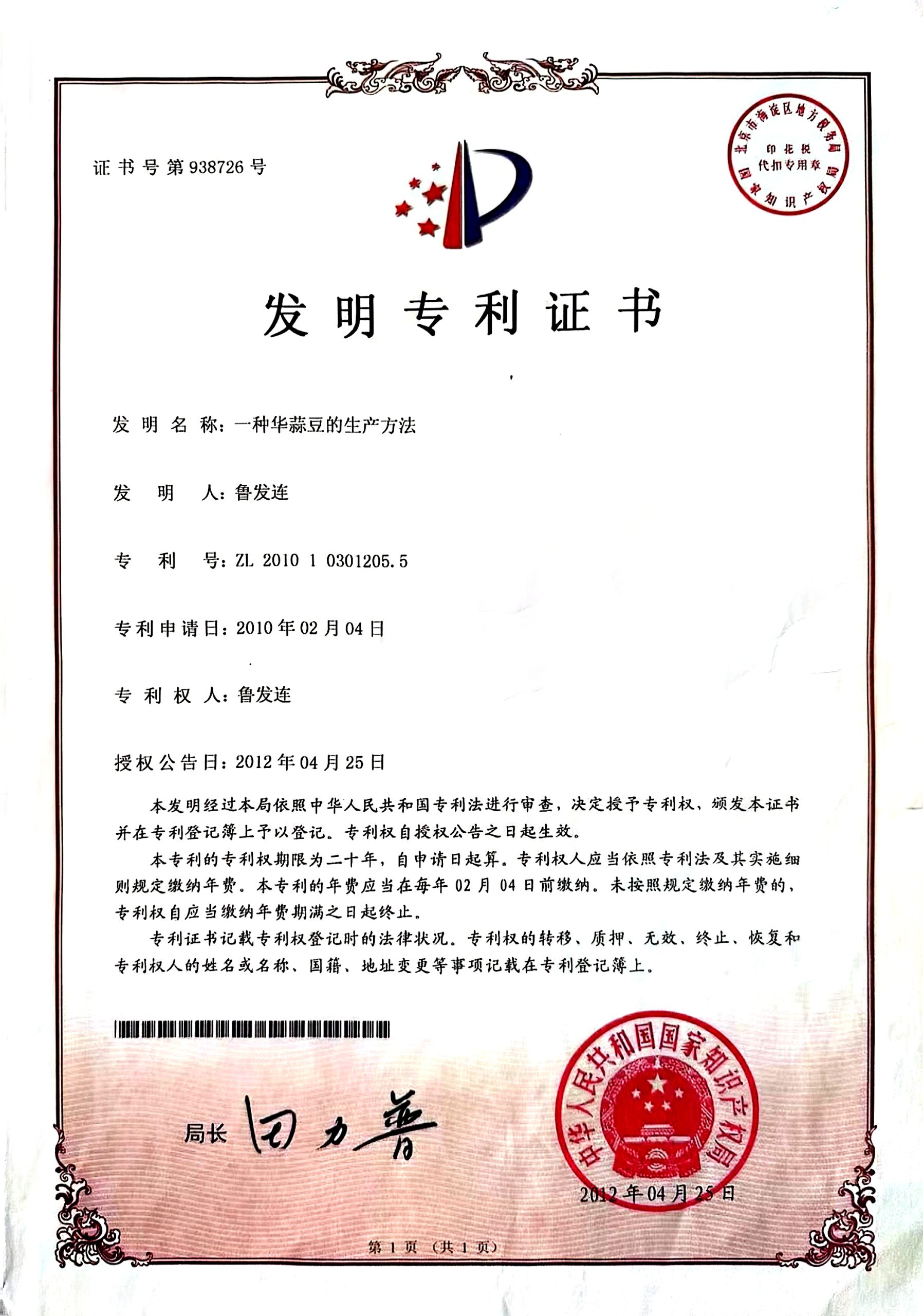 专利